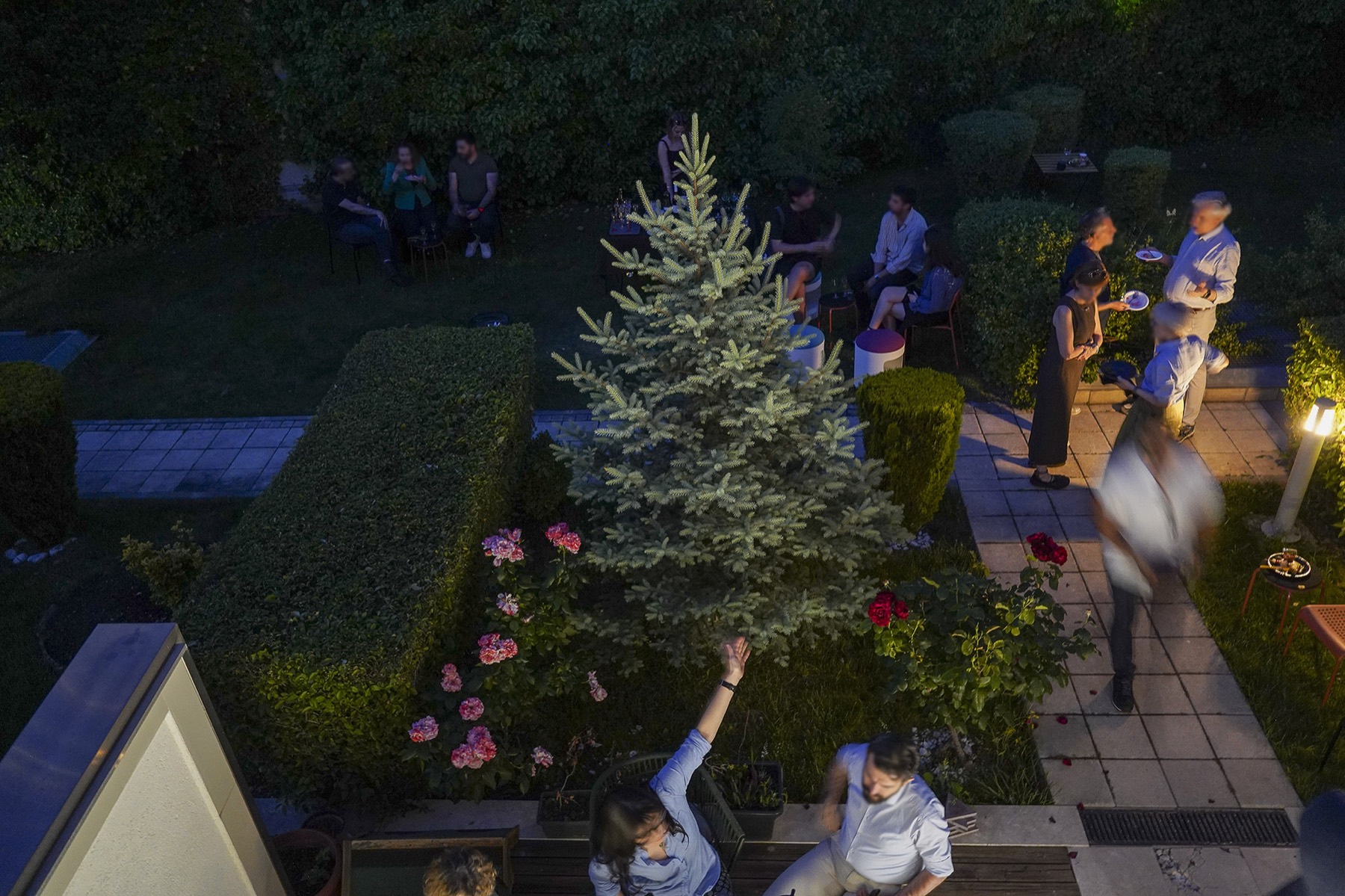 The garden by evening